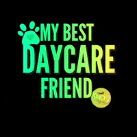 nancysdoggydaycare ndd nancys doggy daycare GIF