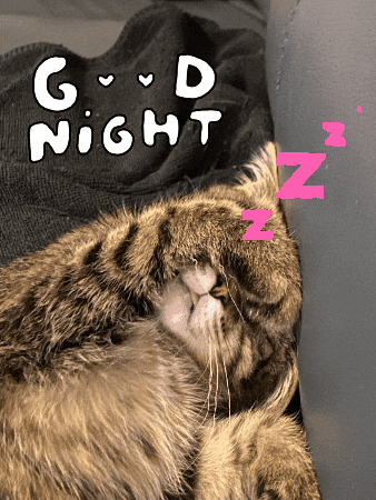 Tired Good Night GIF