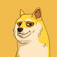 Shiba Inu Dog GIF by Doge Pound