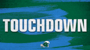 Football Touchdown GIF by GreenWave