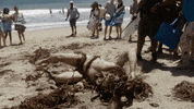 Clayne Crawford GIF by Lethal Weapon