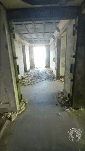 EmaCammy giphygifmaker GIF