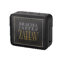 Zahav Sticker by Bracha Jaffe