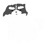 Dog Eddie Sticker