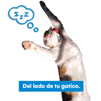 Banco De Occidente Sticker by Grupo Aval