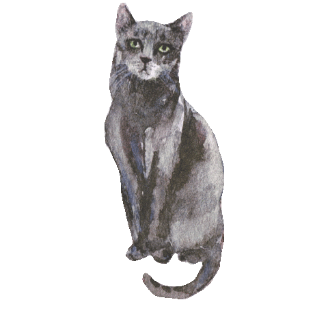 Black Cat Art Sticker by urbanwalls