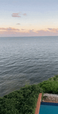croftrealestategroup realtor realestate dallas GIF