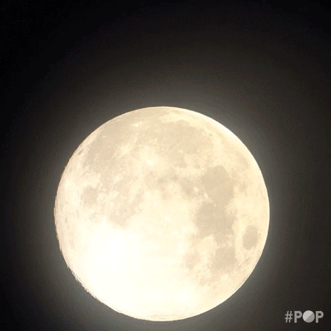Full Moon GIF by GoPop