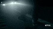 bloodline season 2 GIF by Bloodline