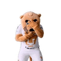 Soccer Sticker Sticker by Pumas MX