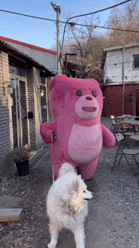 Fun Love GIF