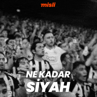 Sponsor Tammy GIF by Misli