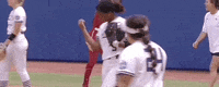 James Madison Softball GIF by NCAA Championships