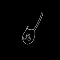 jenny2345 bag outfit ootd jengifny1 GIF