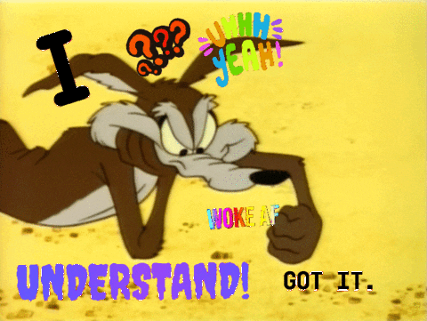 dimck66 giphyattribution i understand GIF