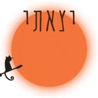 כלולה GIF by caloola