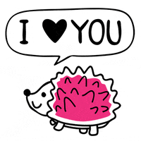 כלולה GIF by caloola