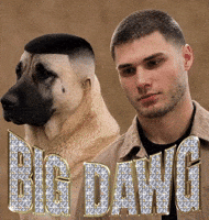 Montreal Dawg GIF