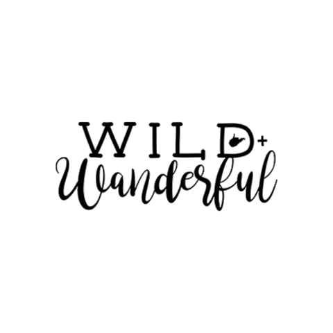 wildandwanderful giphyupload wildandwanderful Sticker