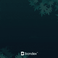 Christmas Crypto GIF by Bondex App