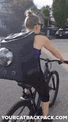 Travel Cat GIF by Your Cat Backpack