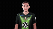 E Sports Sport GIF by VfL Wolfsburg