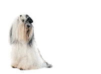 Cool Dog Sticker by FLEX-tools