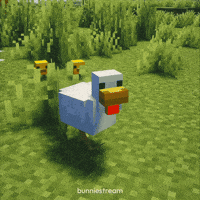 Baby Chicken GIF