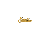 Den Haag Cadeautjes Sticker by Bravour Entertainment
