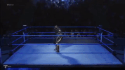 2k games wwe GIF