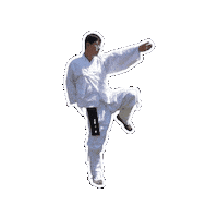 Workout Fighting Sticker by vank