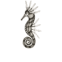 Sea Life Sticker