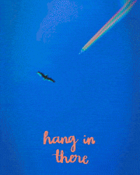 Never Give Up Love GIF