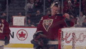 Hockey Wave GIF