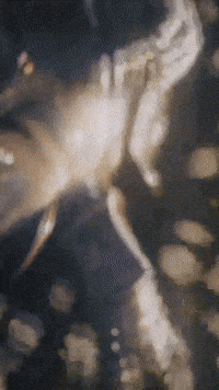 Sad Trending GIF