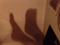 Wundersaar GIF