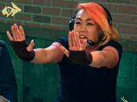 hyperrpg twitch stop please rpg GIF