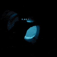 Cod Warzone GIF by Call of Duty