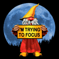 Wizard Concentrate GIF