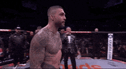 Mixed Martial Arts Sport GIF by UFC