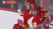 Ice Hockey Sport GIF by NHL