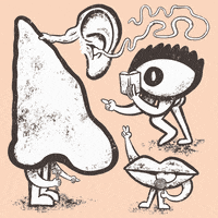 Read Five Senses GIF by Jef Caine