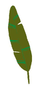 life indonesia Sticker