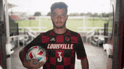 University Of Louisville Go Cards GIF by Louisville Cardinals