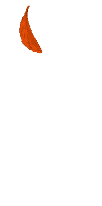 Fall Orange Sticker