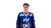 Mayer Sticker by Adler Mannheim