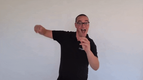 ZorgOber giphygifmaker happy dancing happy dance GIF