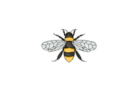 Bee Sticker