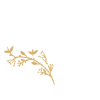 Gluten Free Transparency Sticker by The Social Impact