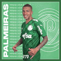 Soccer Futebol GIF by SE Palmeiras